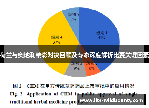 荷兰与奥地利精彩对决回顾及专家深度解析比赛关键因素 荷兰与奥地利精彩对决回顾及专家深度解析比赛关键因素