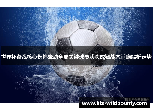 世界杯备战核心伤停牵动全局关键球员状态成疑战术前瞻解析走势 世界杯备战核心伤停牵动全局关键球员状态成疑战术前瞻解析走势